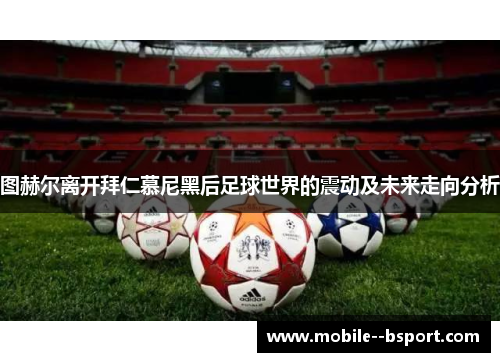图赫尔离开拜仁慕尼黑后足球世界的震动及未来走向分析 图赫尔离开拜仁慕尼黑后足球世界的震动及未来走向分析