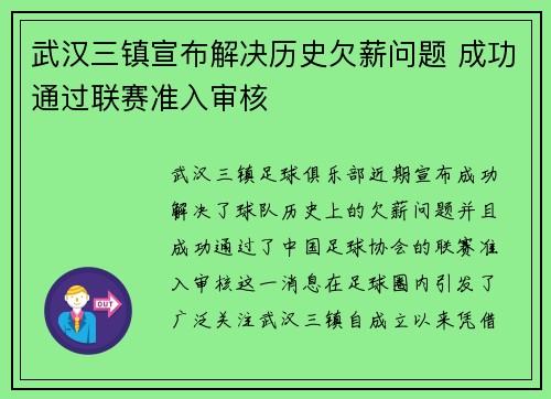 武汉三镇宣布解决历史欠薪问题 成功通过联赛准入审核 武汉三镇宣布解决历史欠薪问题 成功通过联赛准入审核