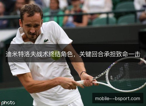 迪米特洛夫战术终结角色，关键回合承担致命一击